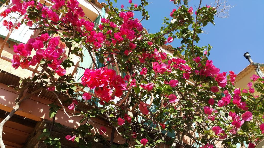 Hostellerie Provencale Пор-Кро Екстер'єр фото